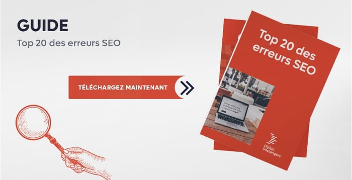 Guide Top 20 erreurs SEO