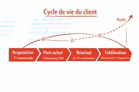 schema profit crm